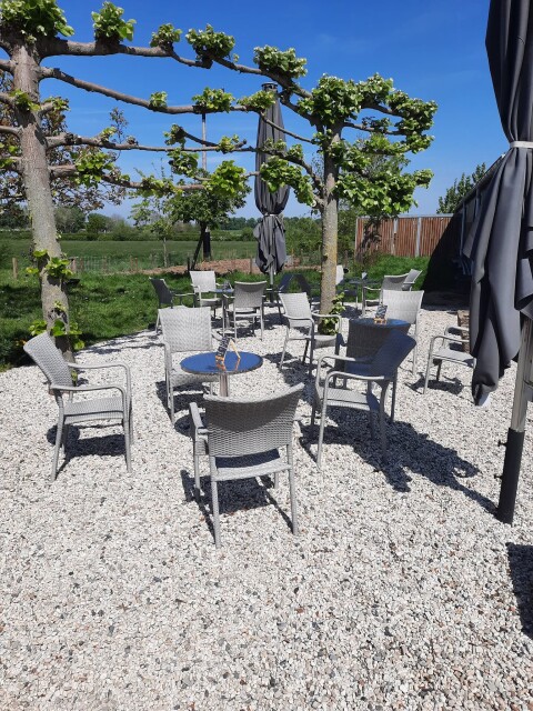 Terras